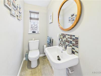 Picture 15